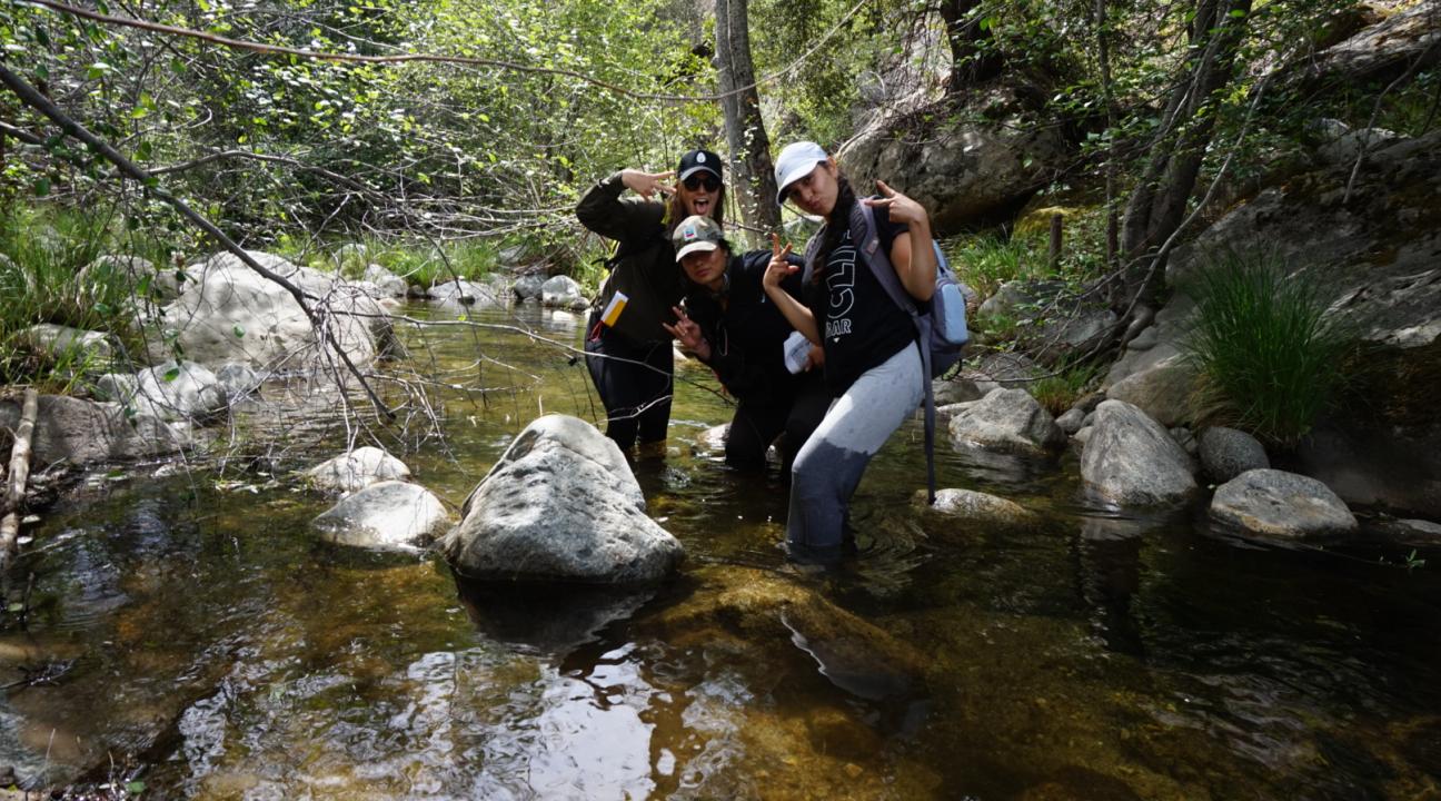 Working in the stream