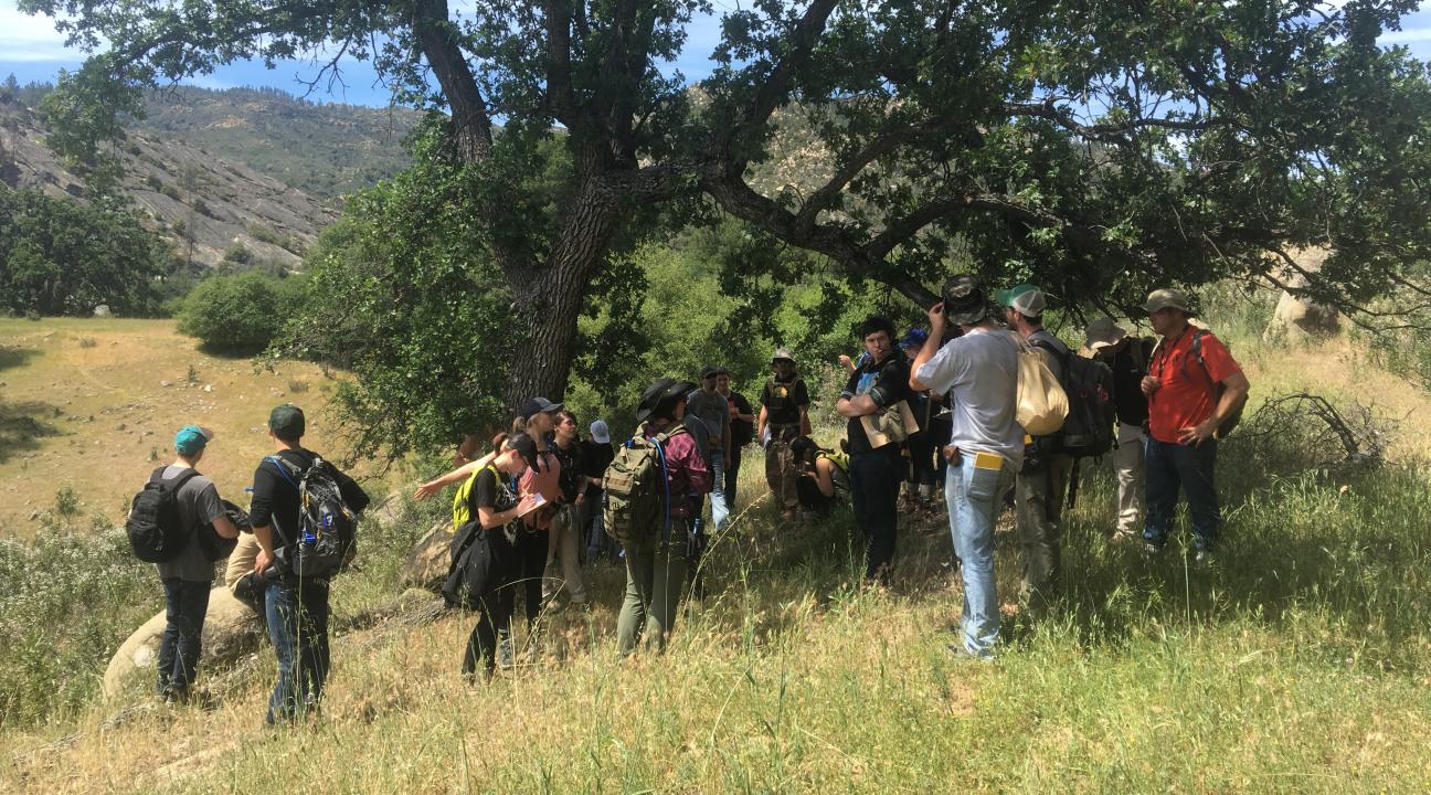 Students in the field