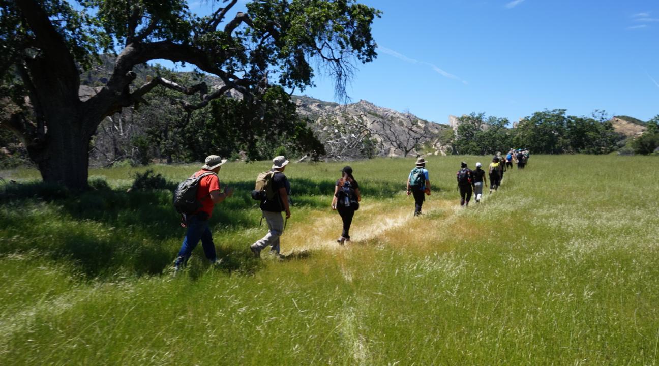 Walking through the field area