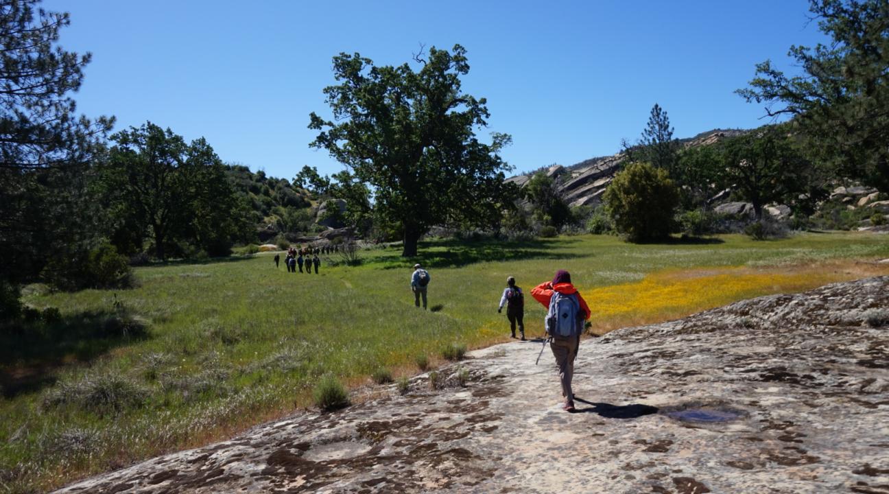 Students walking through a field
