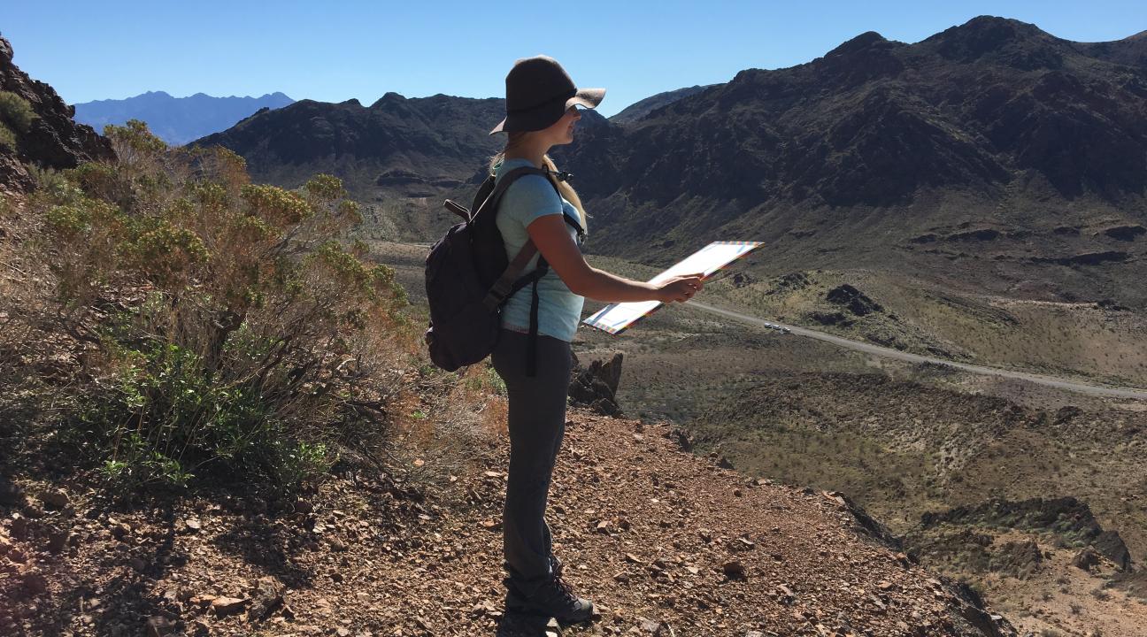 Mapping in the field