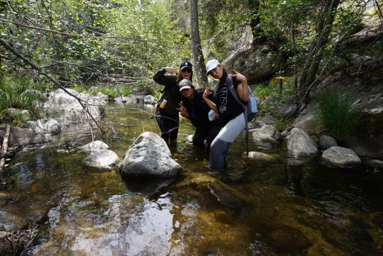 Working in the stream