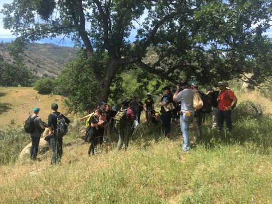 Students in the field