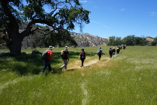 Walking through the field area