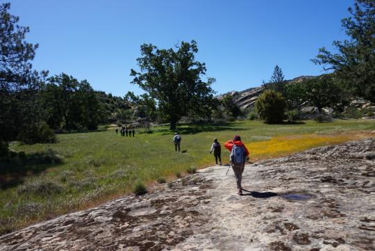 Students walking through a field